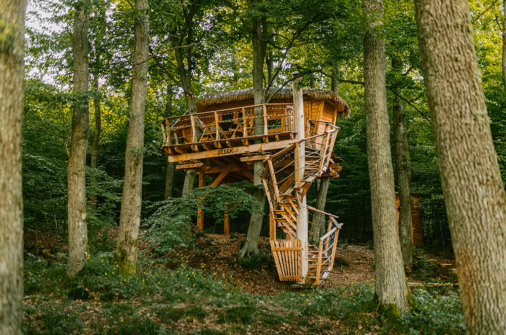 TreeHouse BEBEK